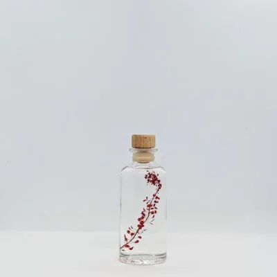 Plante immergée Lepidium rouge (12 cm) - L’Herbarium de Théophile Berthon