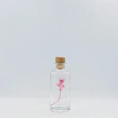 Fleur immergée Astrance rose (12 cm) - L’Herbarium de Théophile Berthon