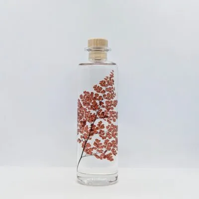 Plante immergée Fougère Luthi terracotta (21 cm) - L’Herbarium de Théophile Berthon