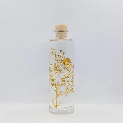 Plante immergée Gypsophile Safran (21 cm) - L’Herbarium de Théophile Berthon