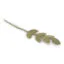 branche de feuillage en feutre vert menthe à feuilles pointues