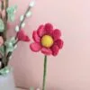 Anemone melon
