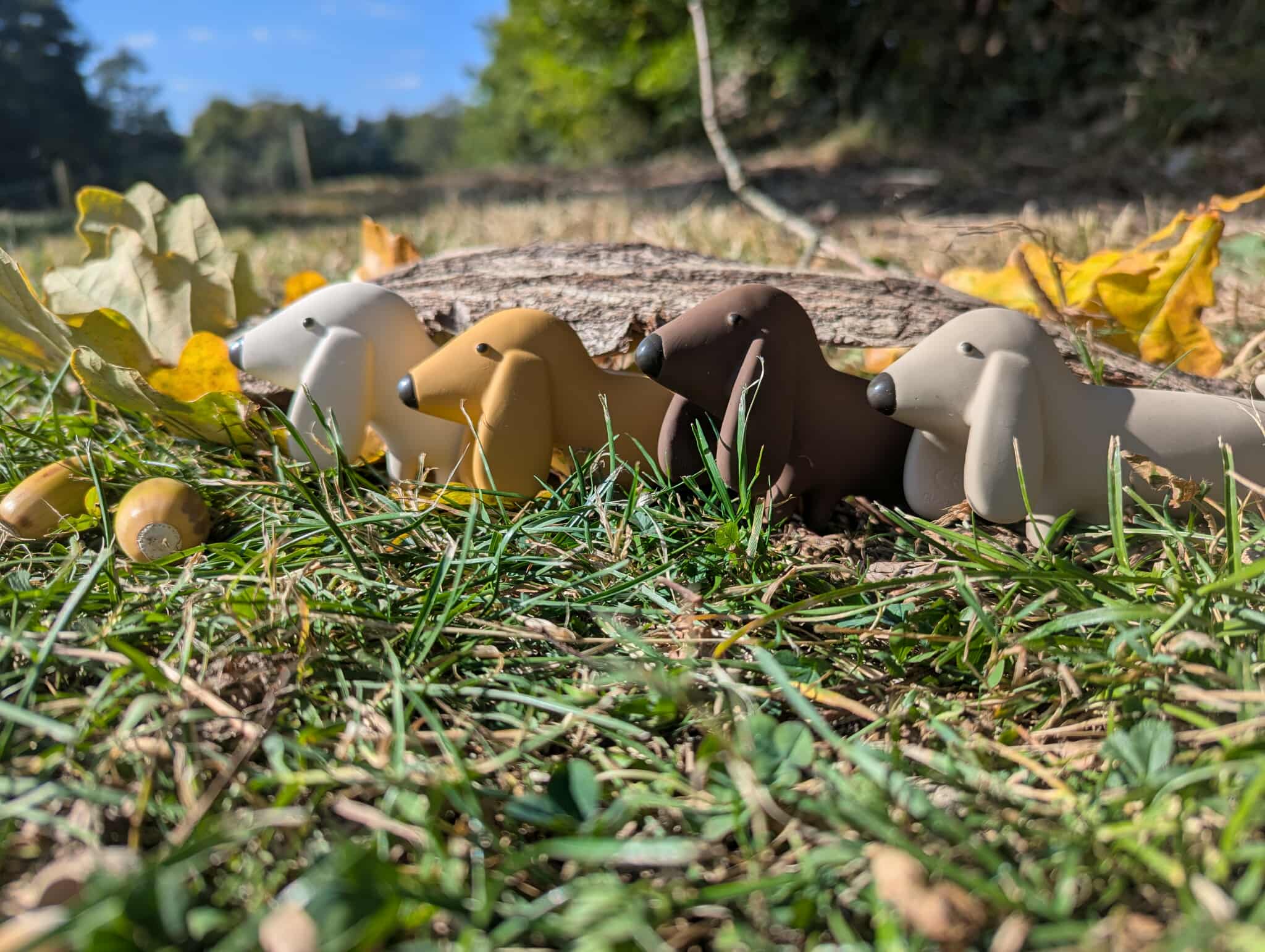 Chien Gommu 9 x 17 cm - We are Gommu – Image 9