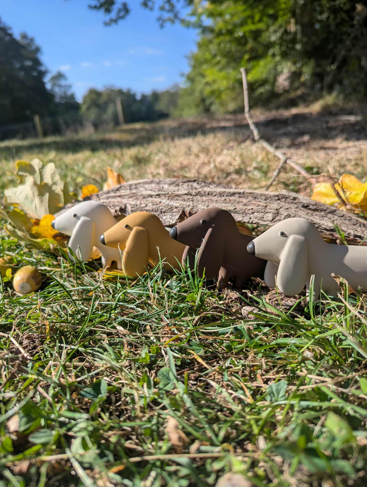 Chien Gommu 9 x 17 cm - We are Gommu – Image 10