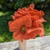 Coquelicot en feutre rouge corail de Gry & Sif