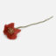 Fleur de coquelicot en feutre 34 cm (poppy flower) - Gry & Sif - Rouge coral