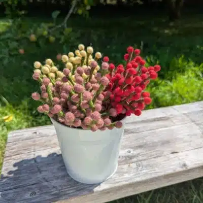 Mini branche avec baies en feutre - Gry & Sif