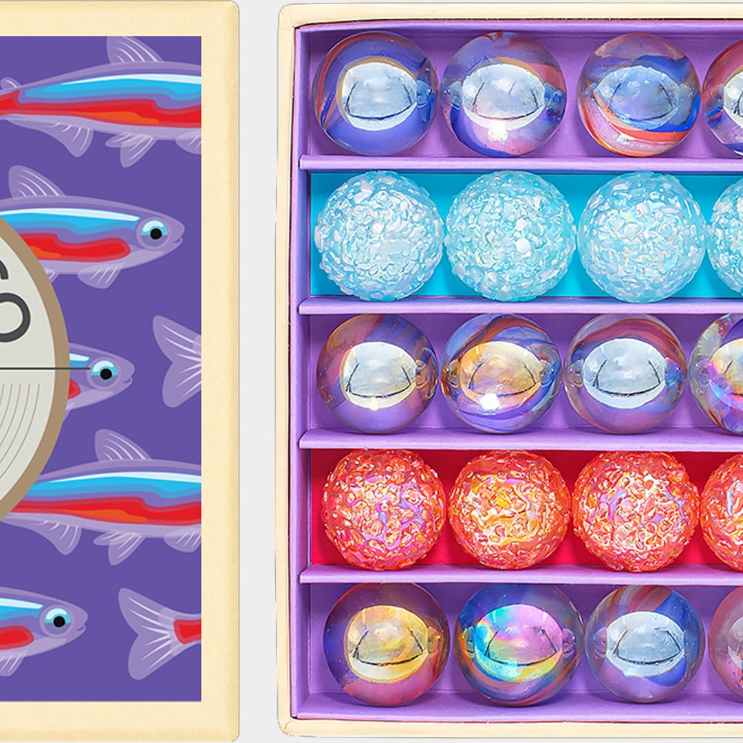 Mini coffret Neon Fish - 25 billes - Billes & Co – Image 2