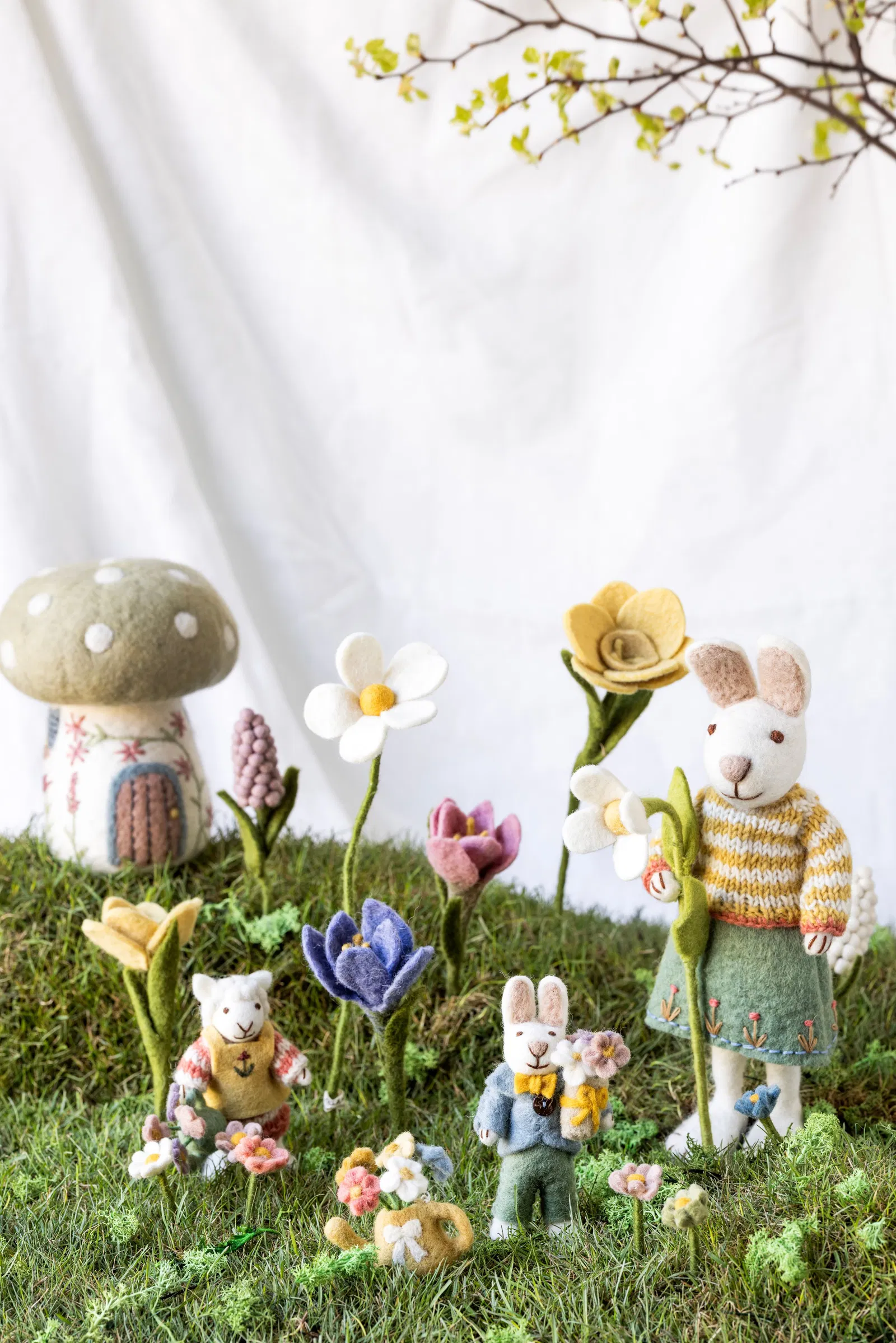 Crocus – Image 6