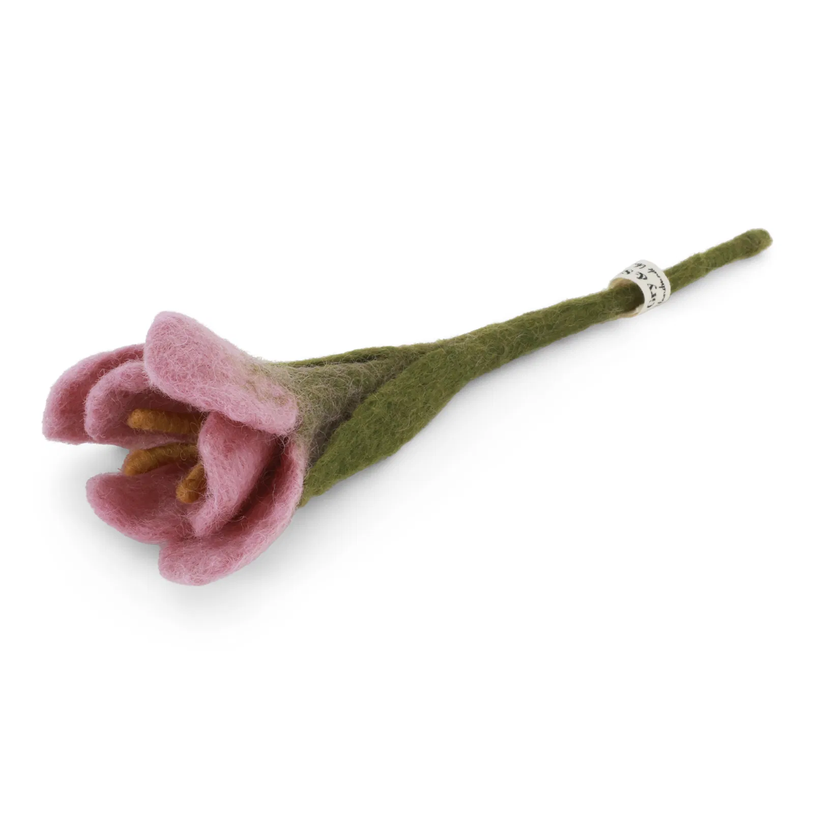 Crocus – Image 2