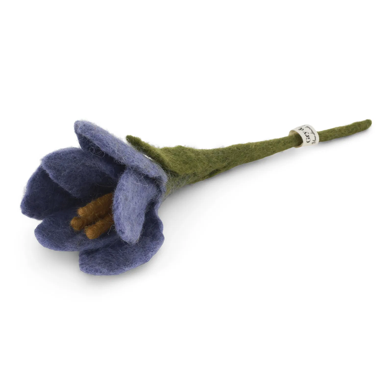 Crocus – Image 3