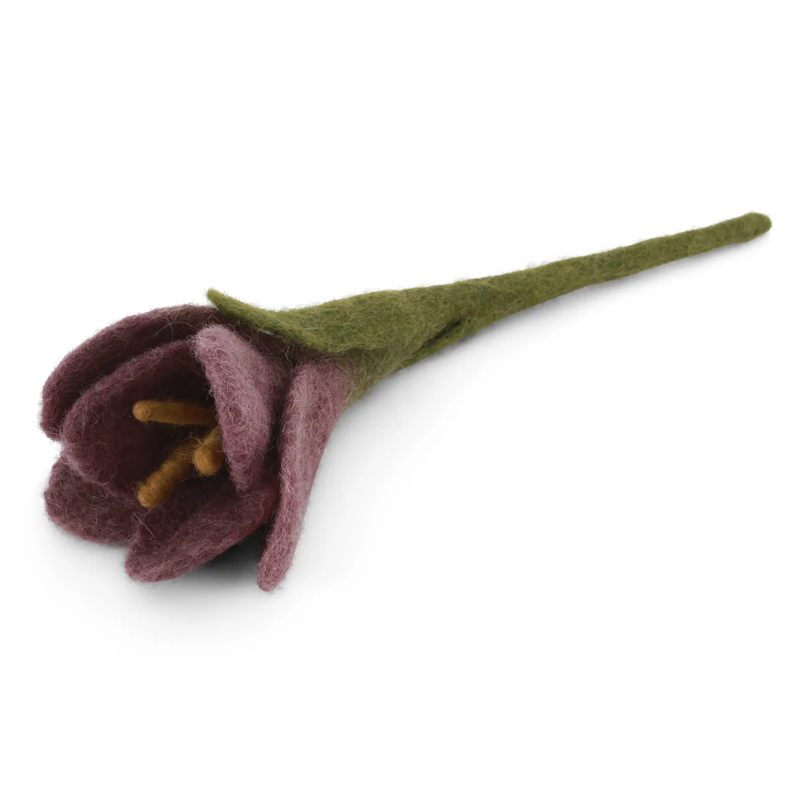 Crocus – Image 4