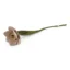 Grande jonquille - 30 cm - Rose clair