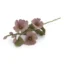 Rose trémière - 52 cm - Rose clair