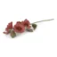 Rose trémière - 52 cm - Vieux rouge